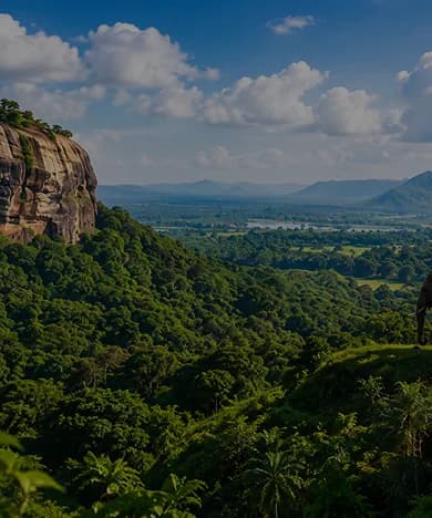 Sri Lankan landscape