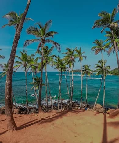 Explore Sri Lanka