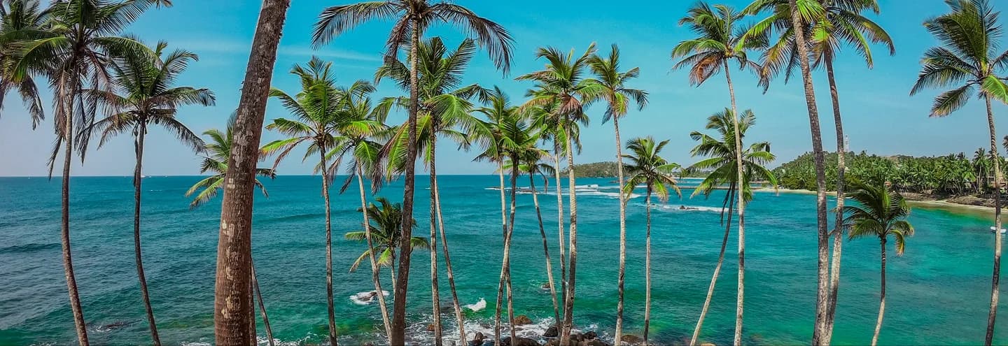 Explore Sri Lanka